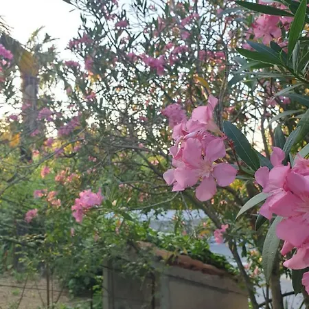 Appartamento Apartmaji Sabina *
